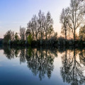 Vurige vijvers: waarom dit natuurbeeld nooit uit de mode raakt