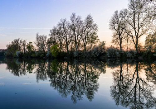 Vurige vijvers: waarom dit natuurbeeld nooit uit de mode raakt